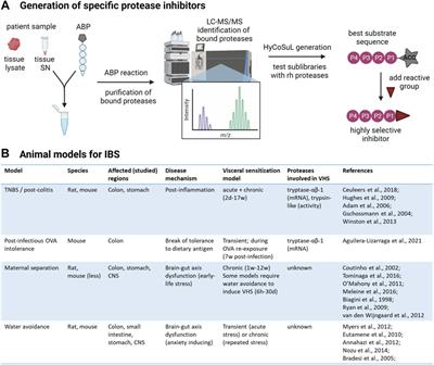 Inhibition of Serine Proteases as a Novel Therapeutic Strategy for Abdominal Pain in IBS